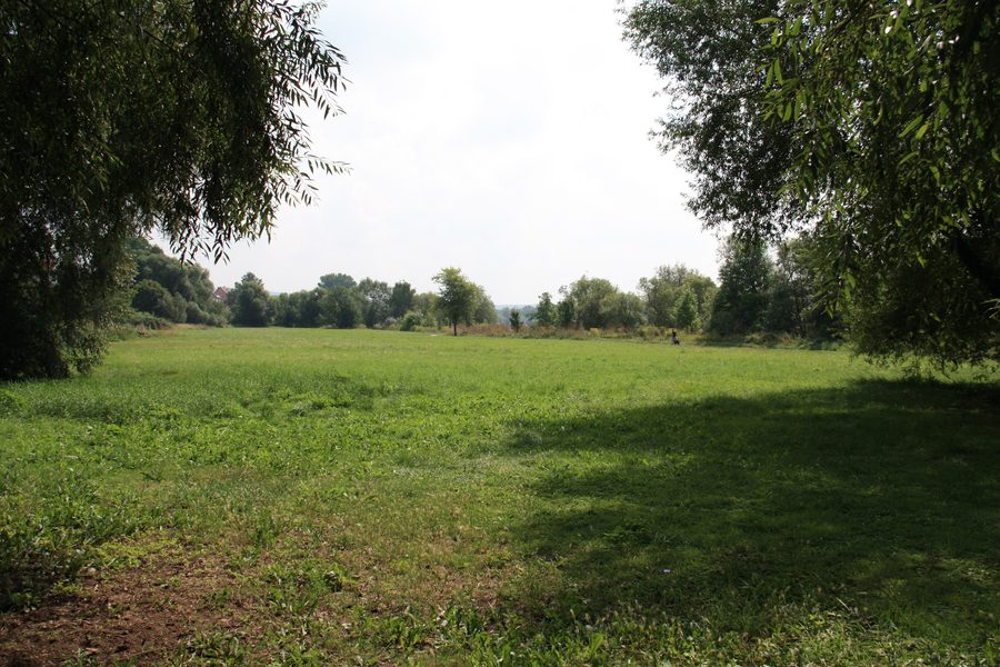 Mainufer im Karlsteiner Ortsteil Dettingen