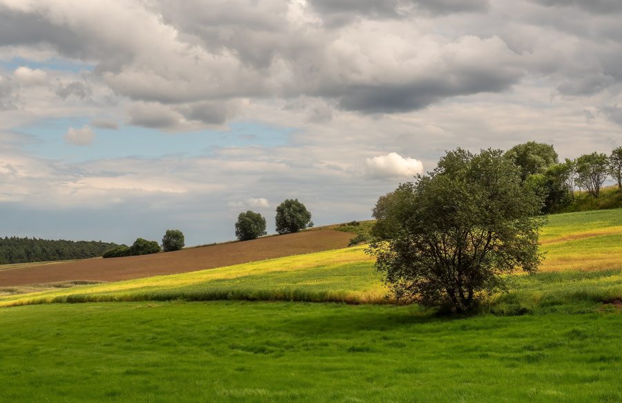 Landschaft bei Schindelsee im Steigerwald