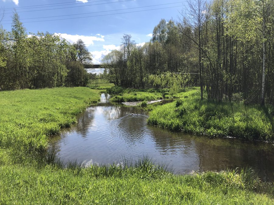 Sächsische Saale mit Altarm im Ökopark Hertelsleite bei Schwarzenbach an der Saale