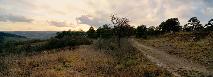 Naturschutzgebiet Höhfeldplatte und Scharlachberg im Landkreis Würzburg