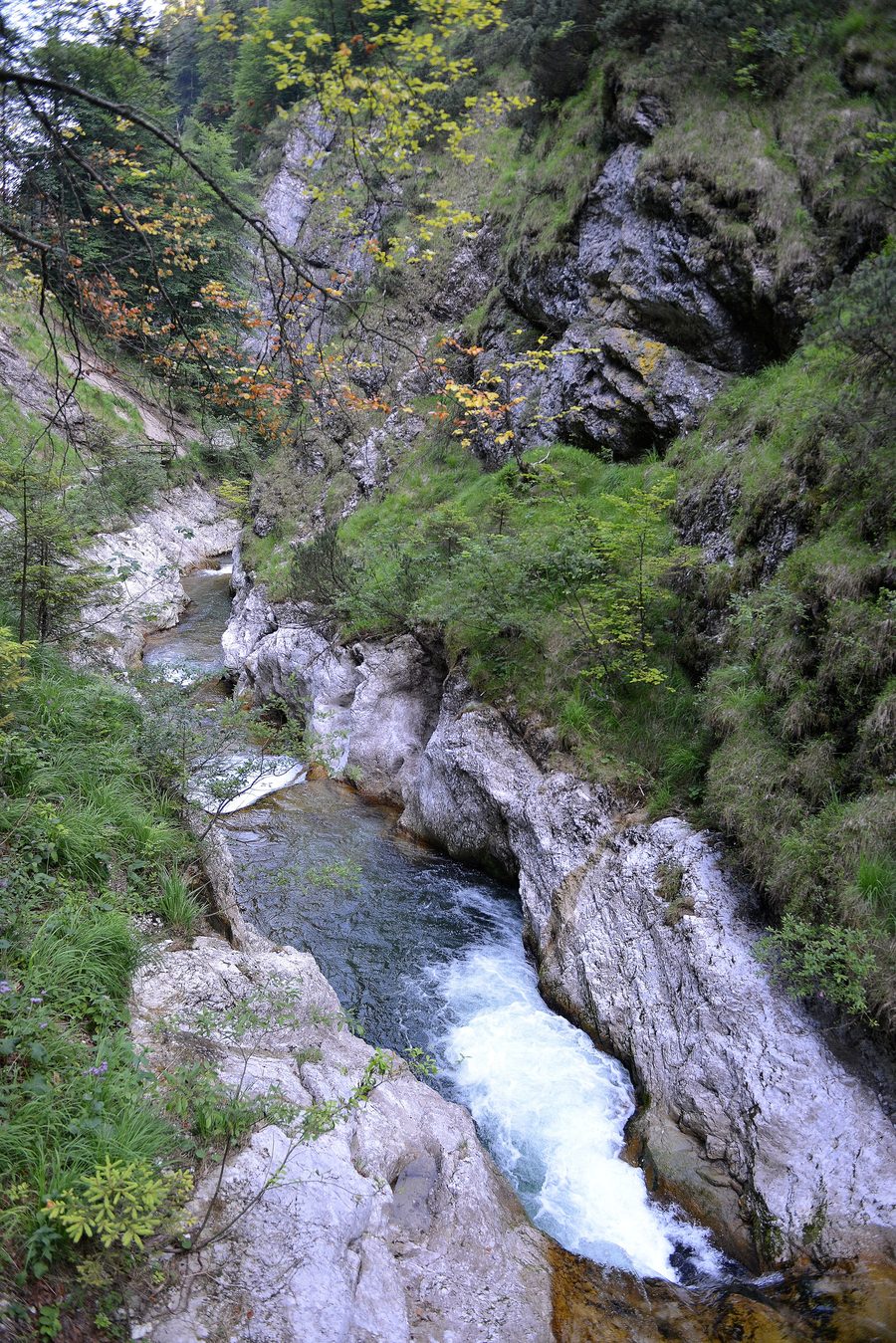Weißbachschlucht mit Bachlauf und Felswänden bei Schneizlreuth