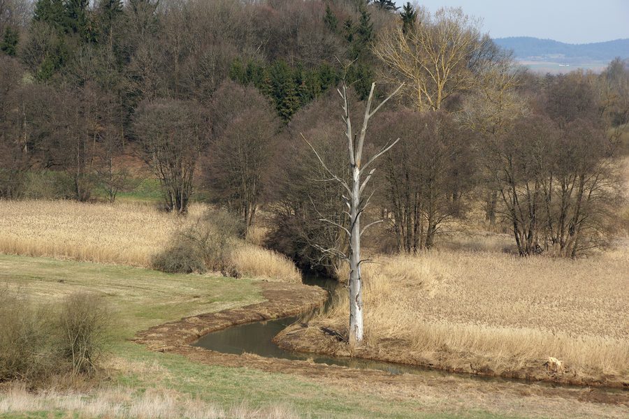 Lengenfeld bei Velburg in der Oberpfalz