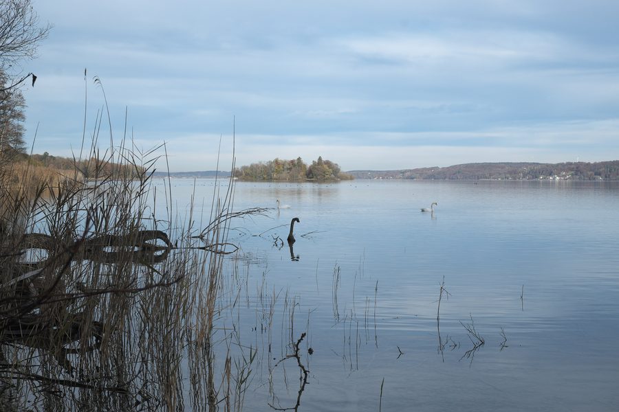 Roseninsel bei Feldafing im Landkreis Starnberg