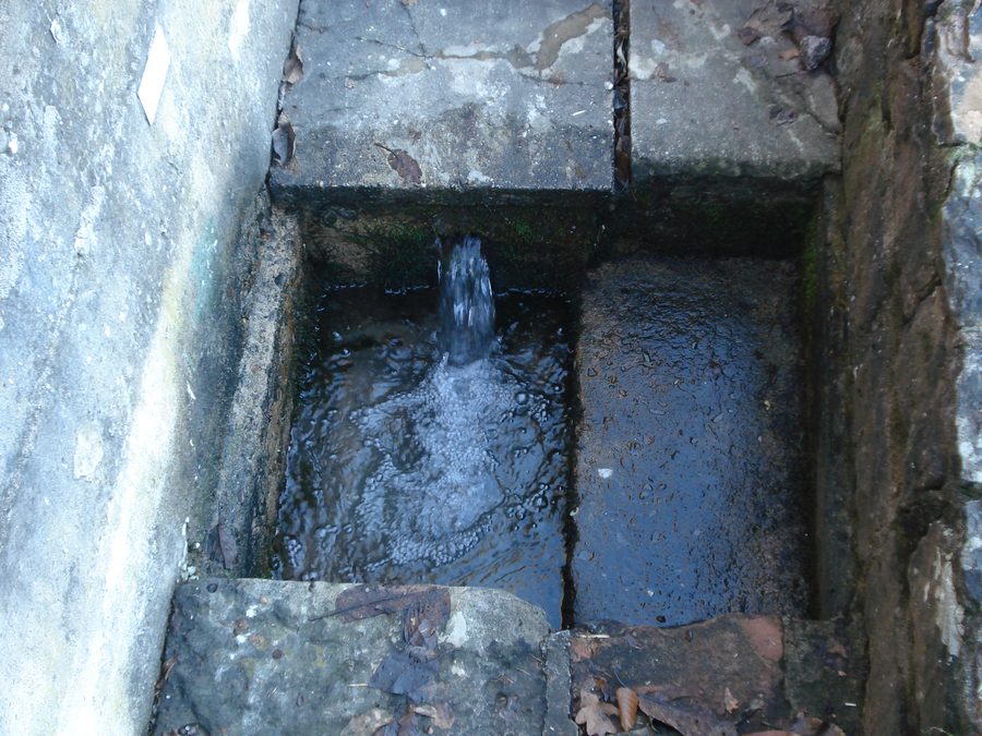 Wasenbrunnen, die Quelle des Hirtenbachs in Heimbuchenthal