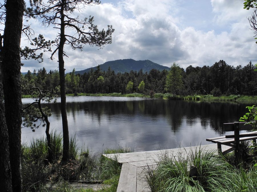 Der Tiefsee, ein Moorsee im Altenauer Moor bei Saulgrub