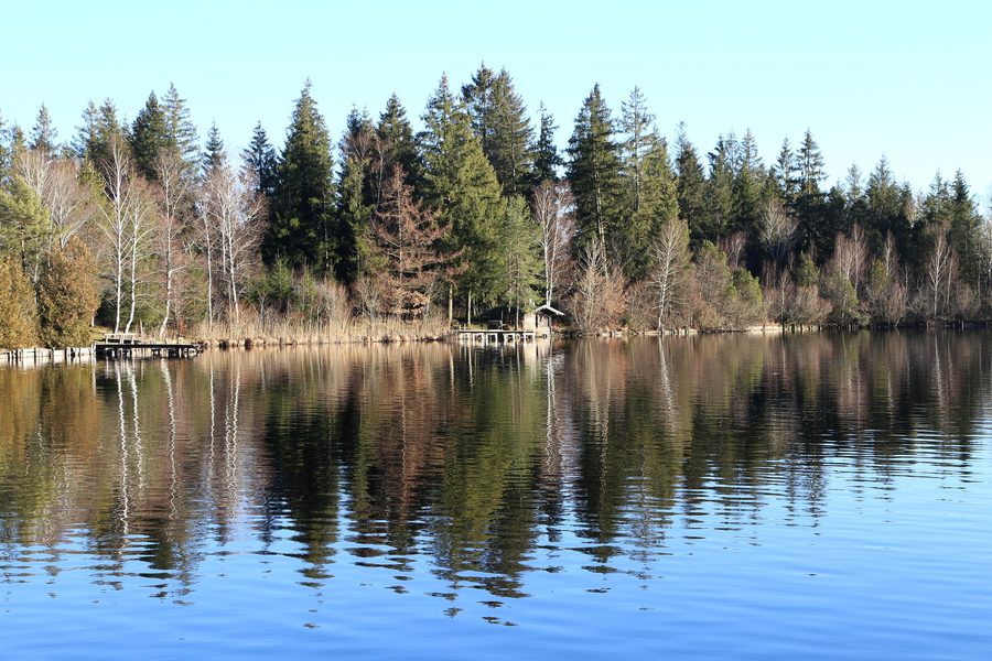 Kirchsee bei Sachsenkam im Naturschutzgebiet Ellbach- und Kirchseemoor