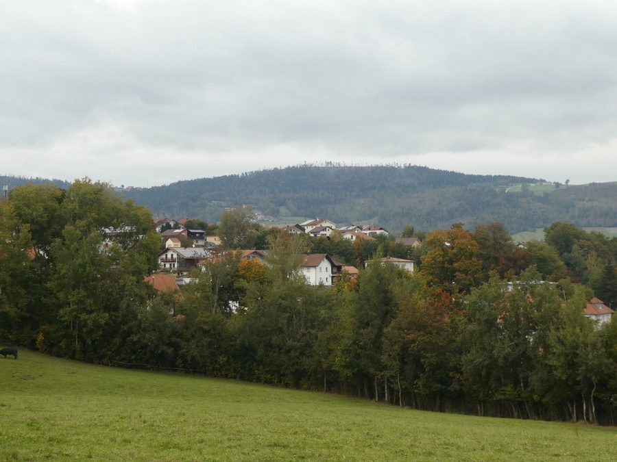 Blick von Hauzenberg auf den bewaldeten Oberfrauenwald im Bayerischen Wald