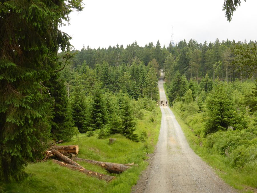 Berg Haidel mit Sendemast im Naturpark Bayerischer Wald