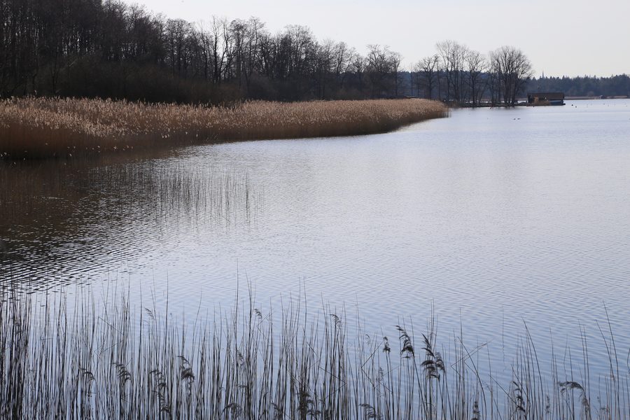 Simssee am Südufer bei Beuerberg in Riedering