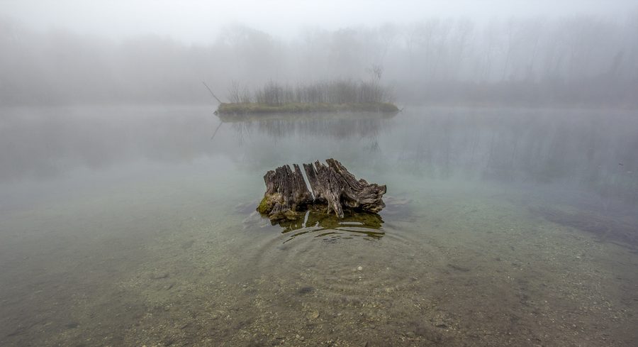 Landschaft am Großen Schlossweiher im Landschaftsschutzgebiet der Donauauen bei Weichering