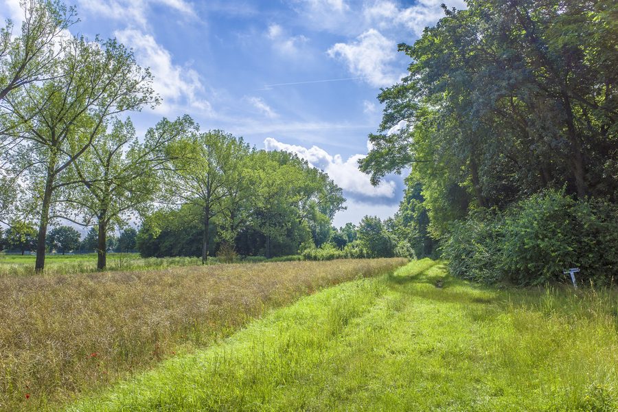 Feldweg am Unkenbach westlich von Sulzheim