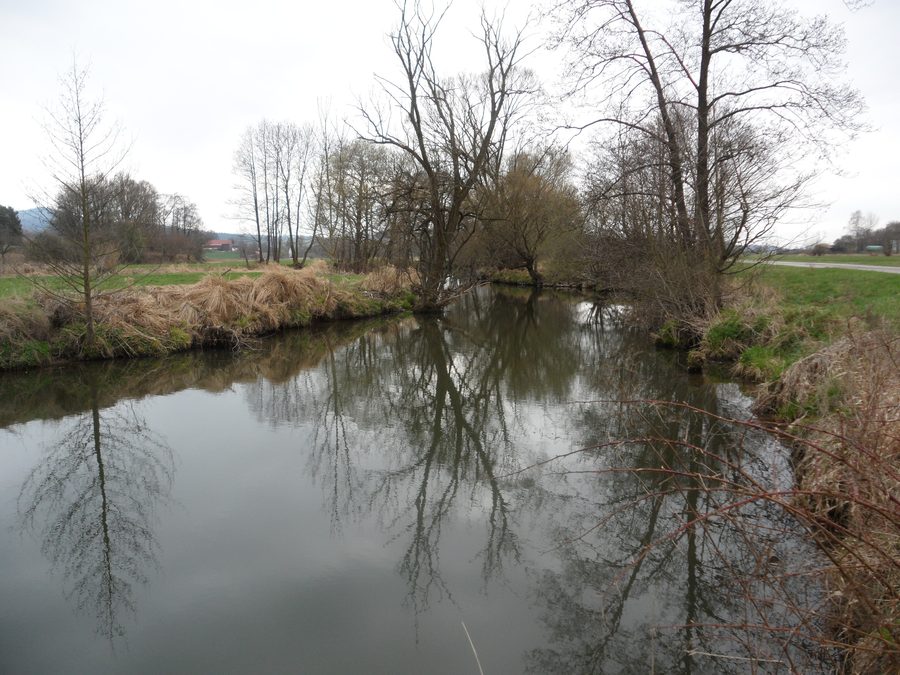 Der Chamb nahe Arnschwang in einer natürlichen Flusslandschaft