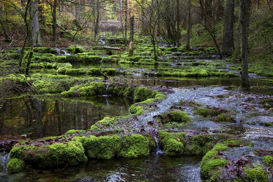 Kalksinterterrassen im Kaisinger Tal bei Greding
