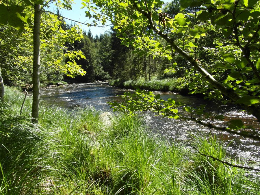 Ilztal bei Fürsteneck in Niederbayern