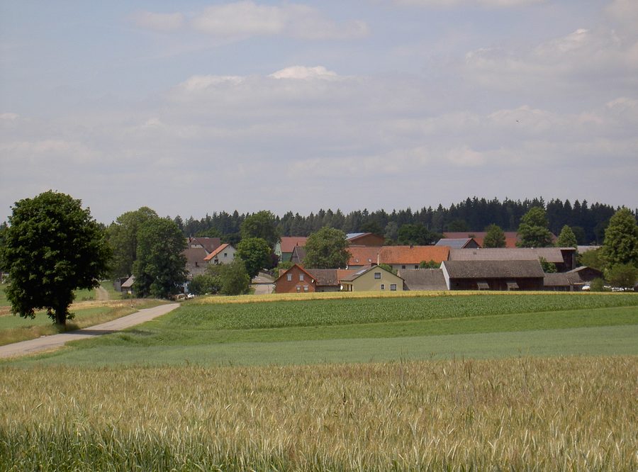Ragenwies im Oberpfälzer Wald