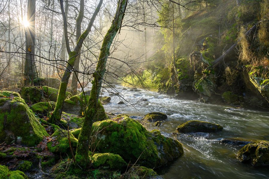 Sonnenaufgang im Höllental im Frankenwald mit bewaldeten Talhängen