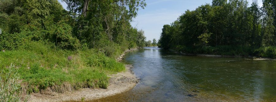Amperlandschaft bei Haimhausen mit Flusslauf und Ufervegetation