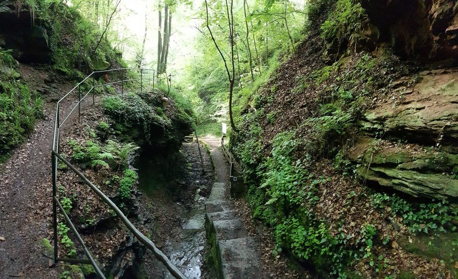Panoramaaufnahme in der Seltenbachschlucht in Klingenberg am Main