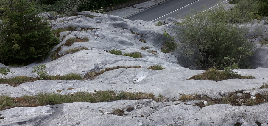 Gletschergarten Weißbach mit geglätteter Felsoberfläche und Gletscherformen aus der Vogelperspektive