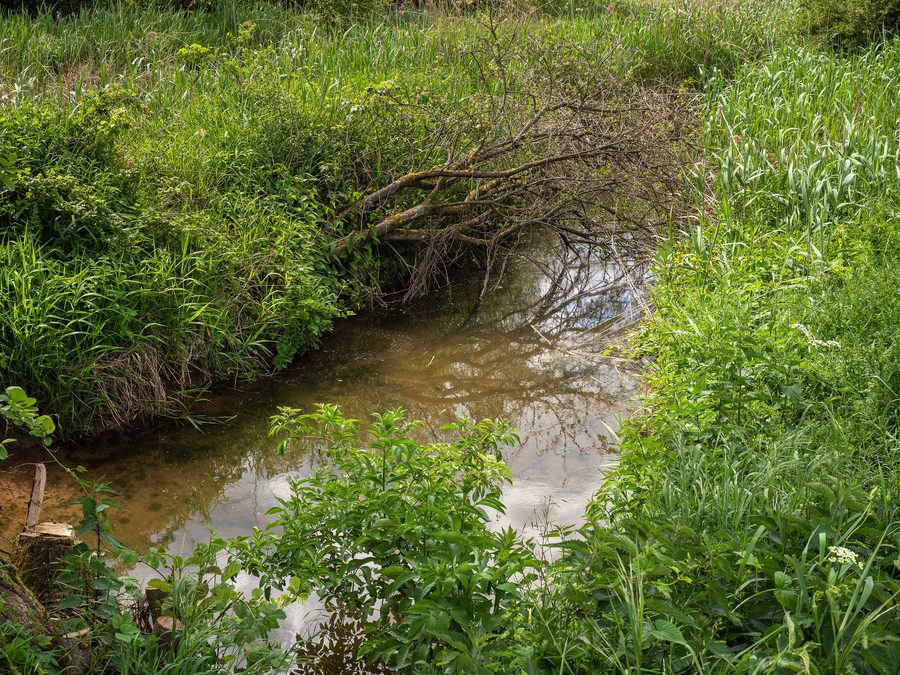 Aurach im Naturschutzgebiet Tretzendorfer Weiher bei Oberaurach