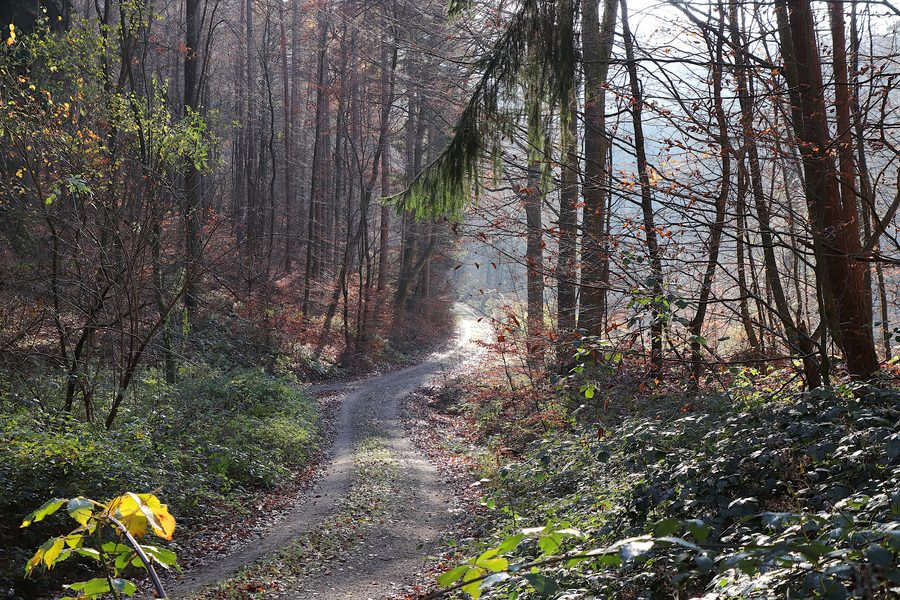 Landschaft im Waldaschaffer Forst am Dörntal im Naturpark Spessart
