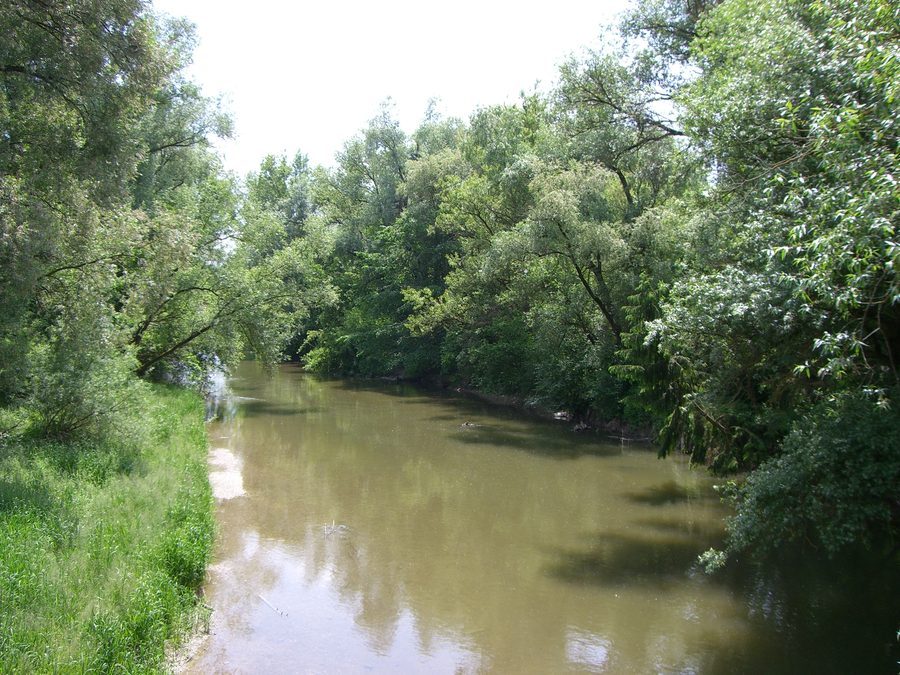 Die Amper bei Fahrenzhausen mit Uferlandschaft