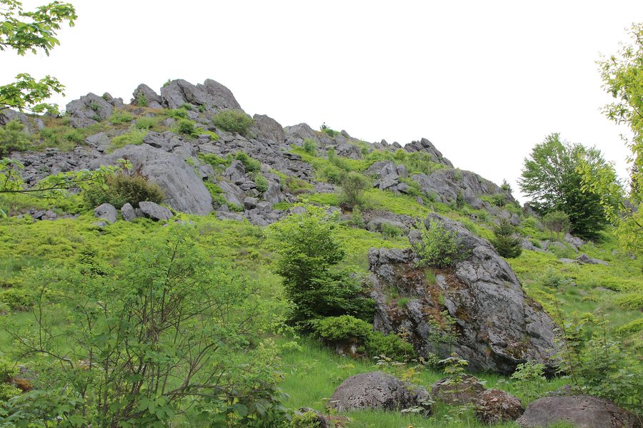 Markante Felsformationen am Hochfels bei Stadlern