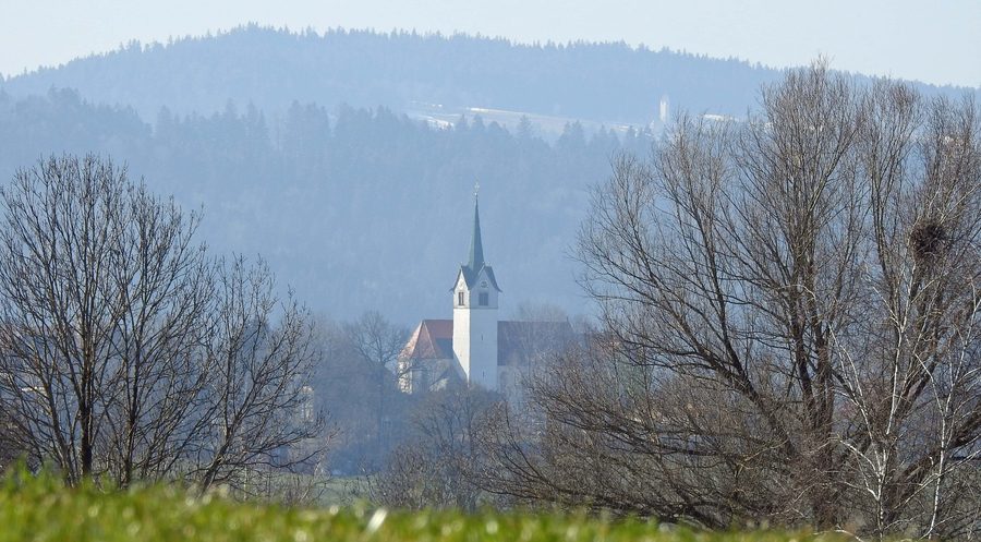 Opfenbach von Norden mit der hügeligen Landschaft des Westallgäus