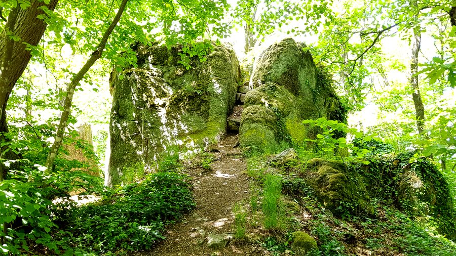 Granitfelsen Hoher Stein bei Kürn im Wald
