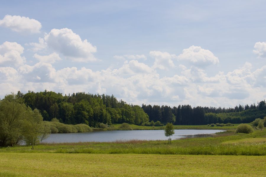 Naturschutzgebiet Endmoränenweiher südlich von Asten bei Tittmoning