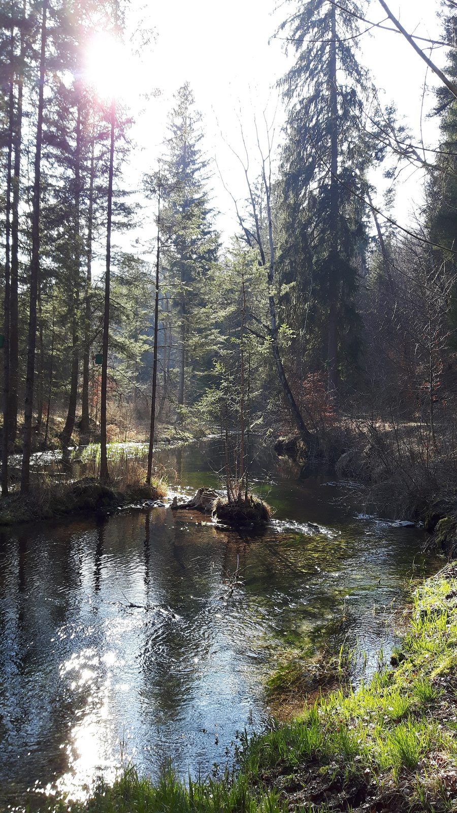 Frühlingslandschaft im Naturschutzgebiet Untere Alz in Emmerting