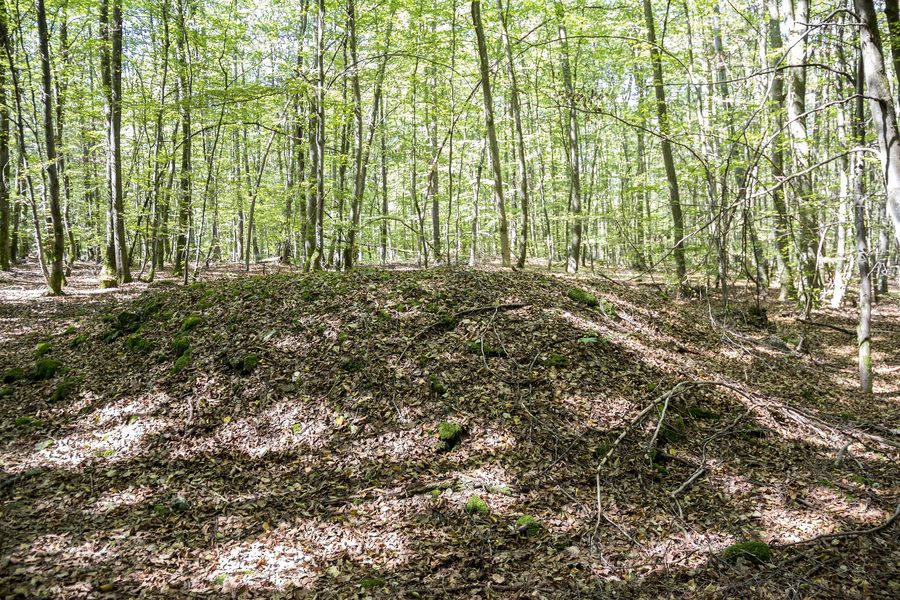 Abraumhalde des ehemaligen Bergwerks Grubschwart im Raitenbucher Forst