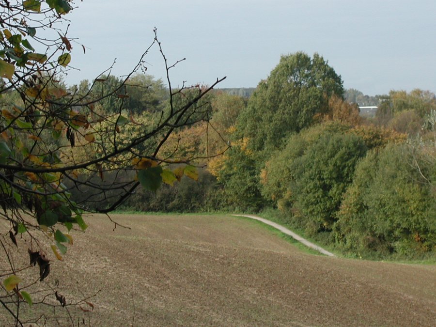 Herbstlicher Feldweg zwischen Wald und abgeerntetem Acker in Niederbayern