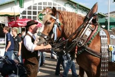 Barthelmarkt in Oberstimm bei Ingolstadt