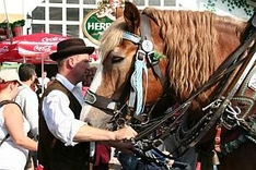 Gautrachtenfest Bischofsmais 2010