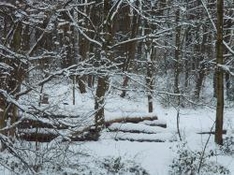 Iglu-Übernachtung Nesselwang