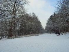 Snowkiten Bayern 2010