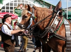 Traditionen und Feste in Bayern