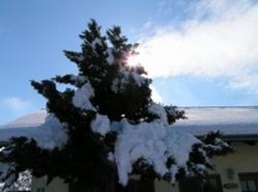 Skigebiet Buchenbergbahn Buching