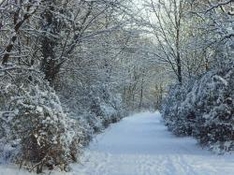 Skigebiet Mittenwald Kranzberg Bayern