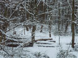 Skigebiet Isny Maierhofen Felderhalde Iberg