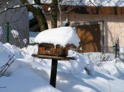 Skigebiet Wendelstein Brannenburg Bayrischzell