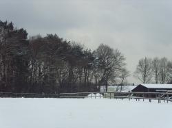 Skigebiet Mitterfirmiansreut Mitterdorf Philippsreut