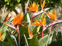 Landesgartenschau Rosenheim