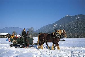 Pferdeschlittenrennen Rottach-Egern